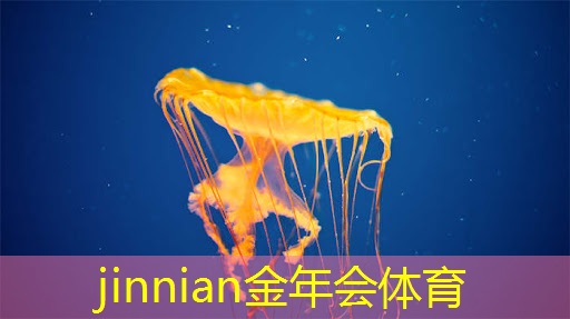 游戏程序开发免费