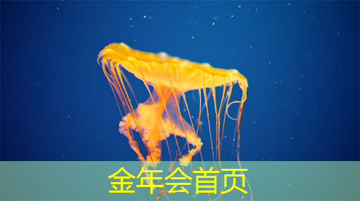 游戏原画师swot分析 游戏原画师swot分析