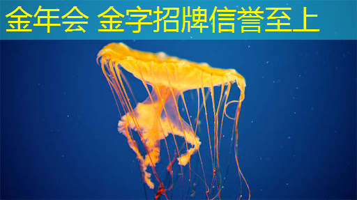 金年会 金字招牌信誉至上：画游戏原画常用笔刷是什么