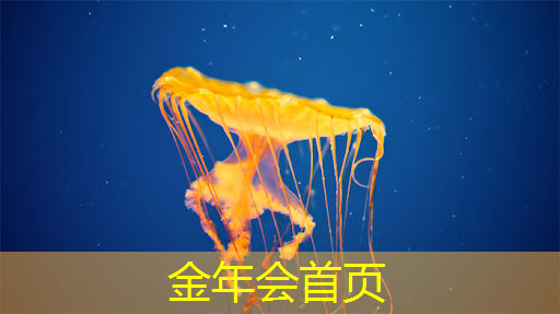 金年会首页：3d扫雷游戏怎么玩的啊