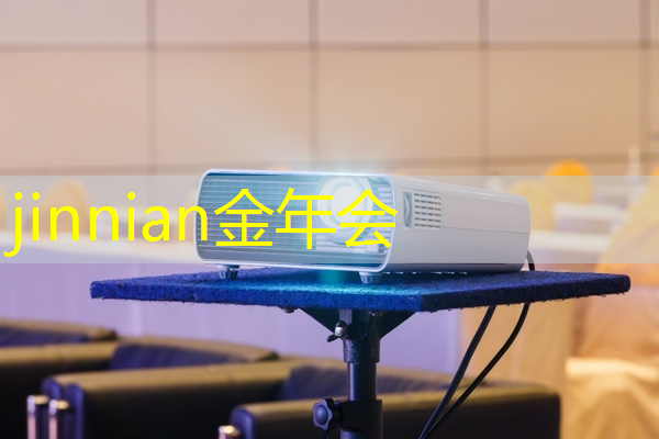 jinnian金年会：原画师做的游戏是什么类型