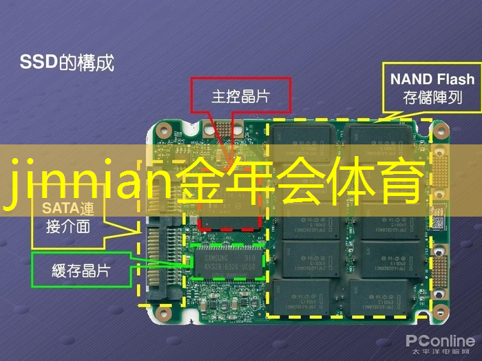 金年会jinnianhui.com：3D涂色游戏59关怎么过
