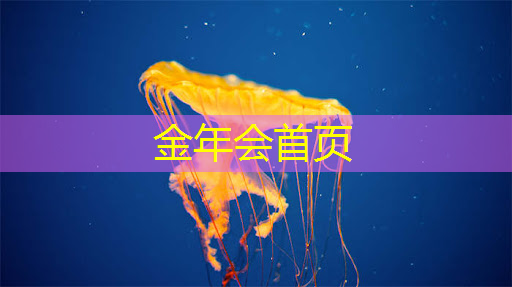 金年会 金字招牌信誉至上：双人枪战3d游戏亮点大全