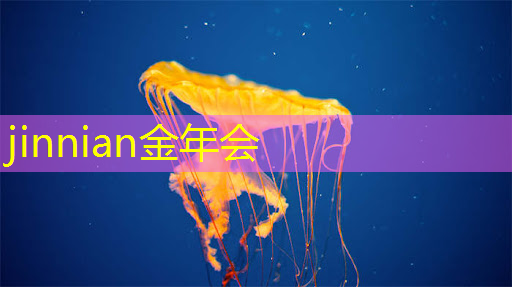 jinnian金年会体育：逆转游戏解说3D