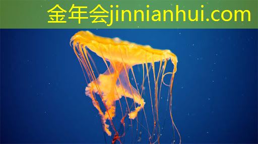 恐龙公园3d游戏攻略大全