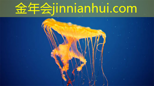 jinnian金年会：怎样删除这个小程序的游戏