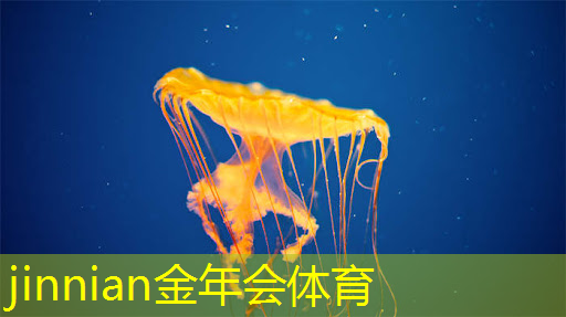 游戏原画箱子作业怎么做