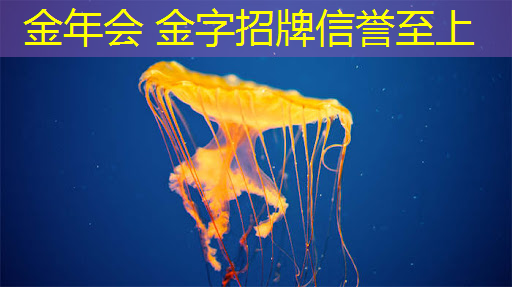 金年会jinnianhui.com：游戏角色原画建模