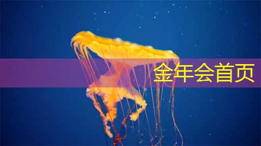 抖音游戏战斗机3d
