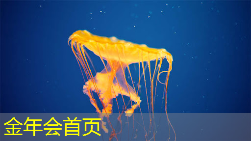 画游戏原画常用笔刷是什么