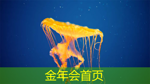小程序火树游戏怎么玩不了