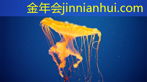 3d扫雷游戏怎么玩的啊