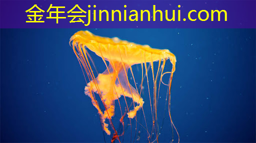 怎样破解3d炮艇游戏教程