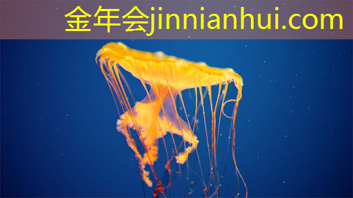 双人枪战3d游戏亮点大全