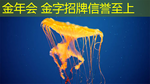 超真实3d互动游戏
