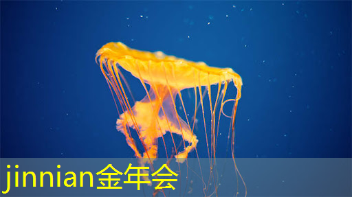 推荐养女儿游戏3D立体中文